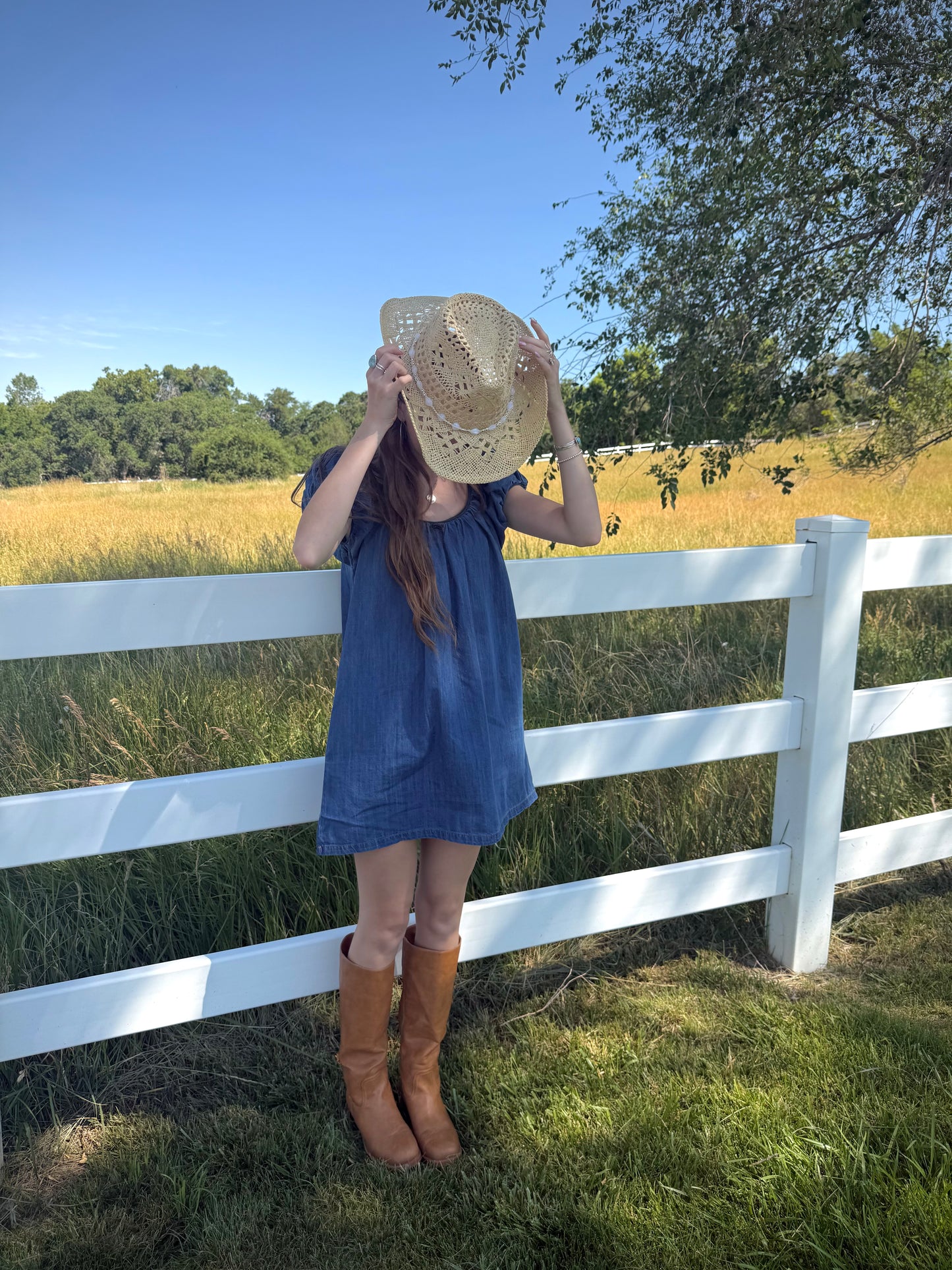 Dolly Denim Mini Dress