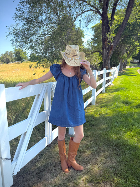 Dolly Denim Mini Dress