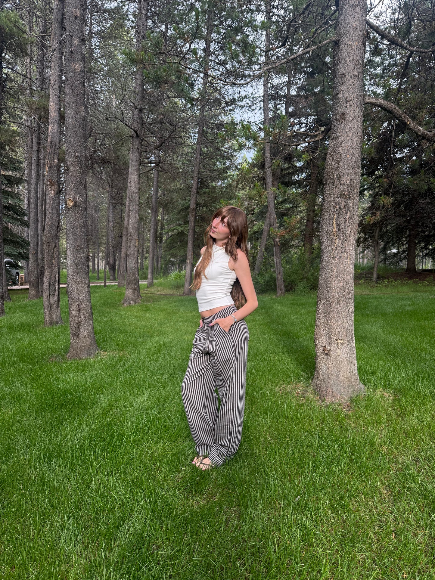 Chocolate Striped Trousers