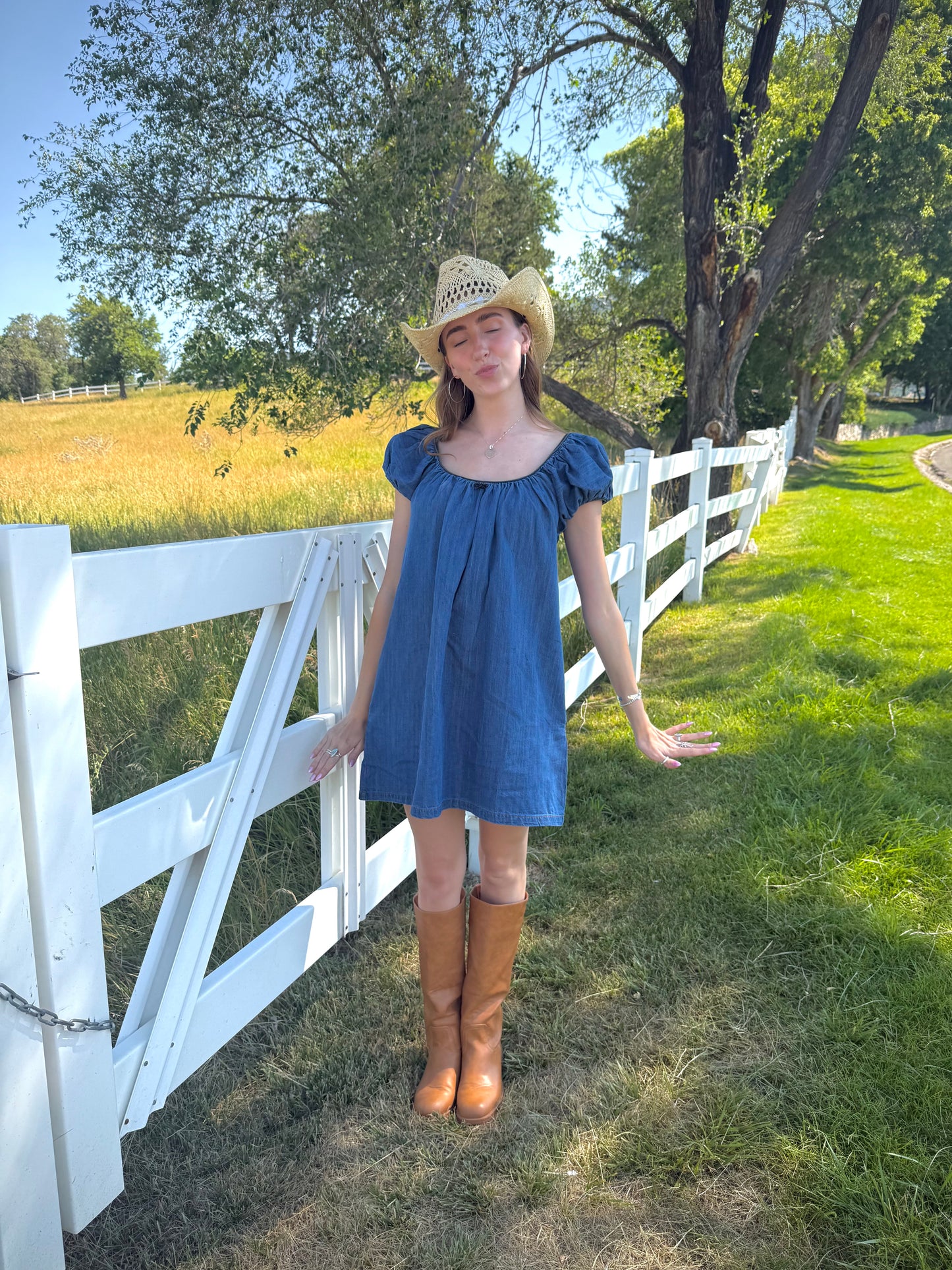 Dolly Denim Mini Dress