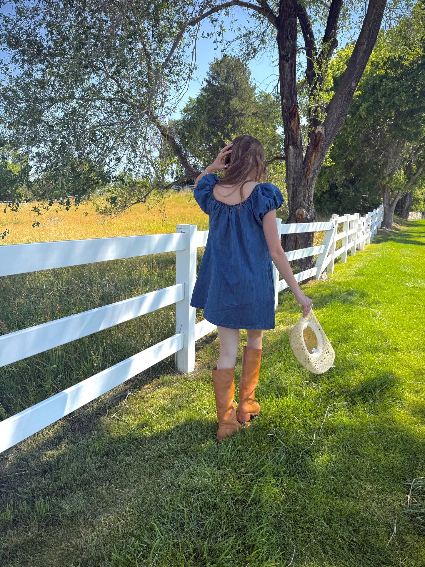 Dolly Denim Mini Dress