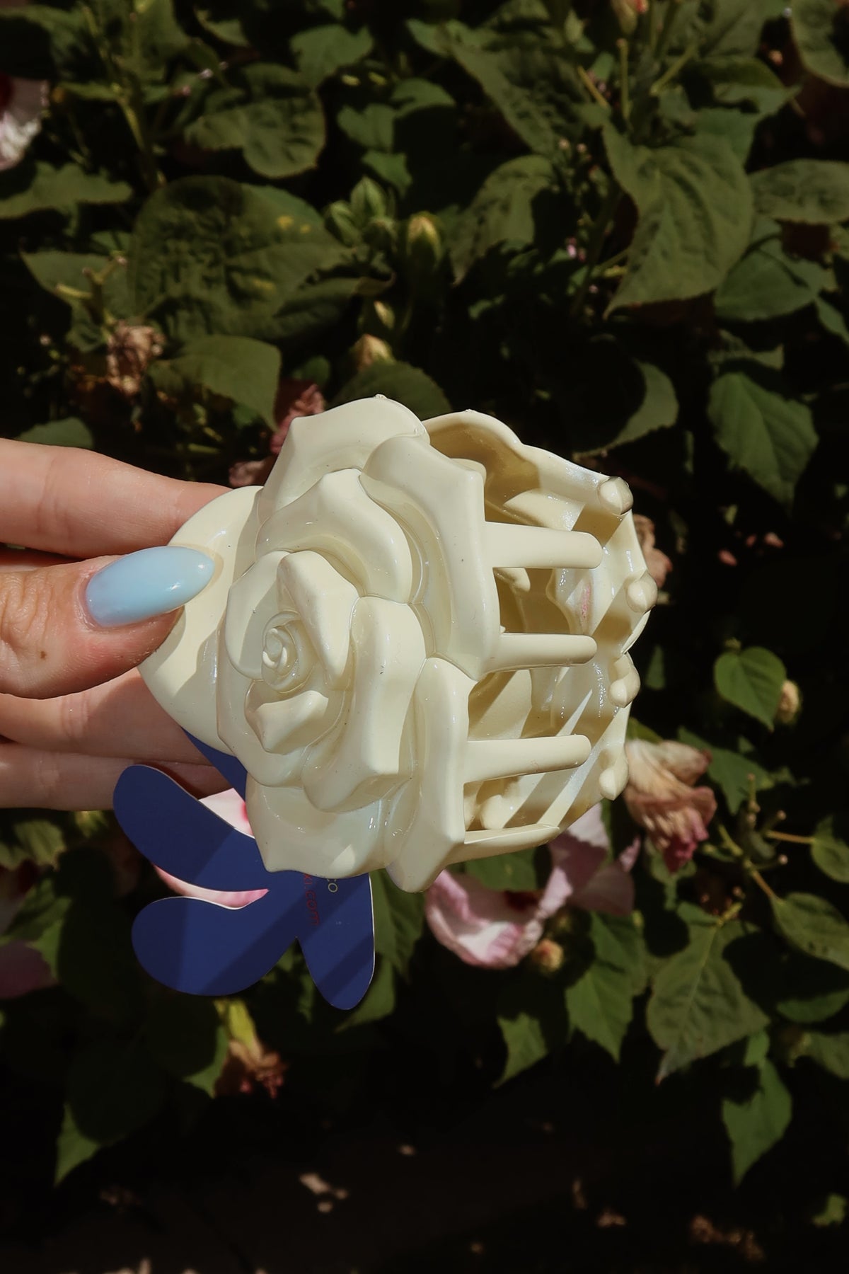 Kaxi Rose Midi Claw // Cream