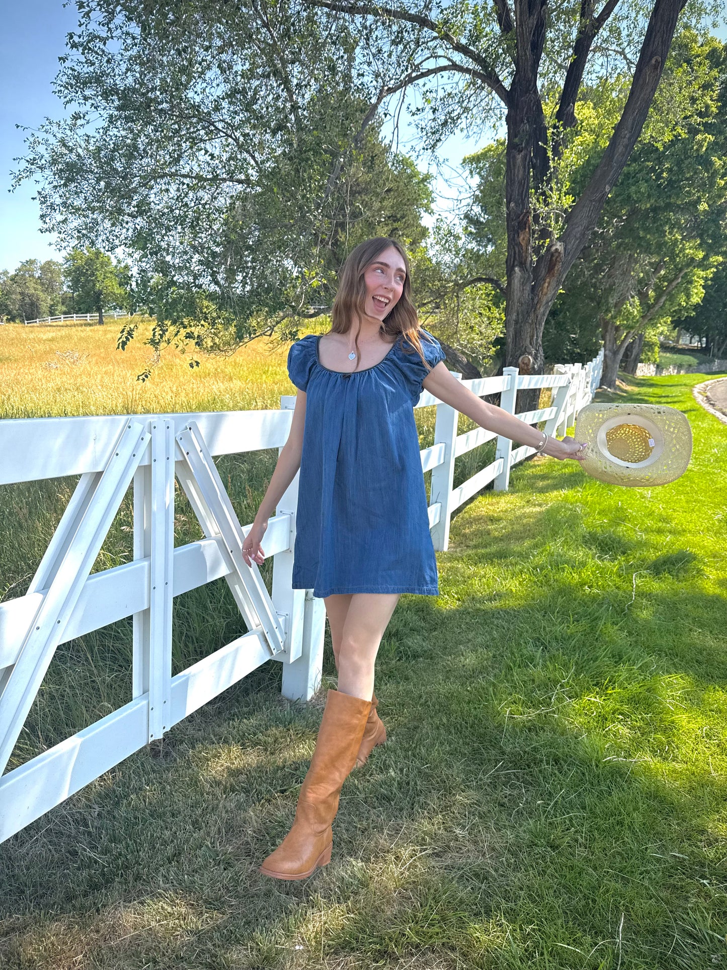Dolly Denim Mini Dress