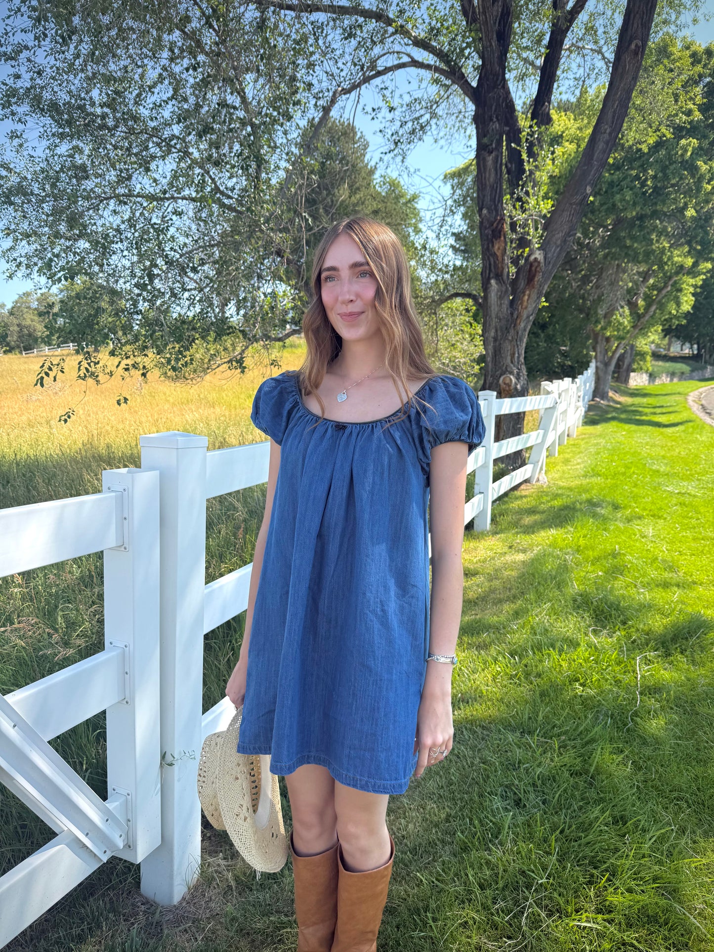 Dolly Denim Mini Dress